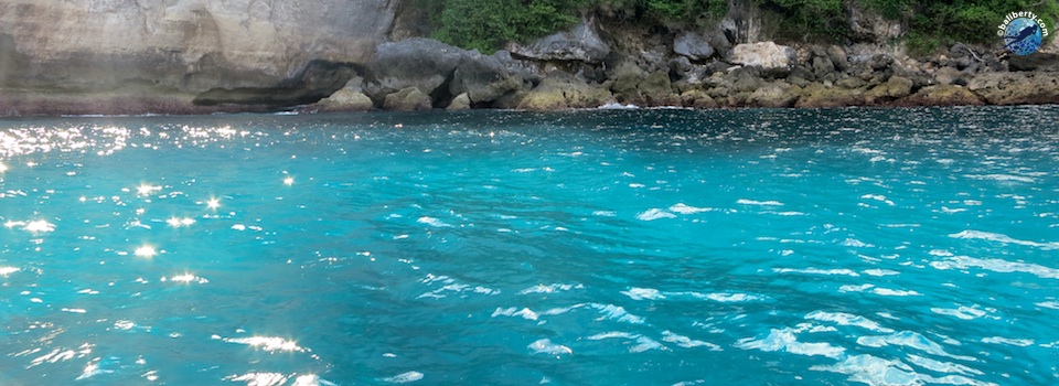 diving-nusa-penida-visibility