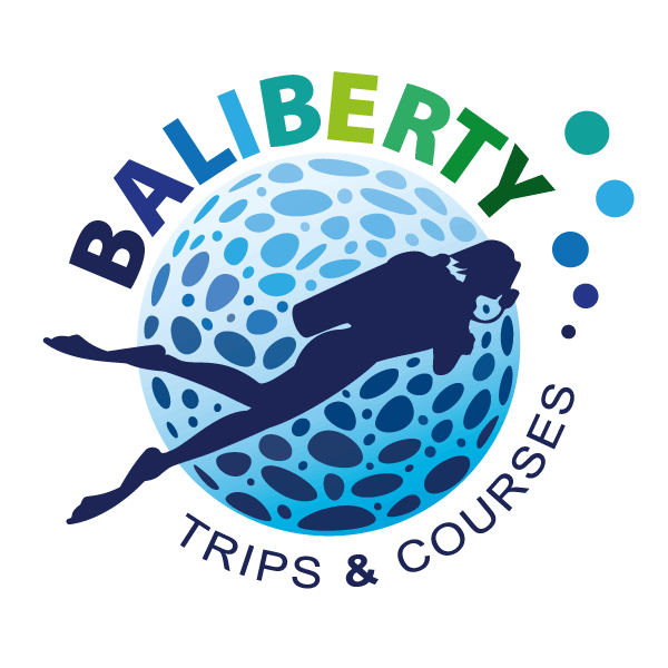 Plongée à Bali en français | BALIBERTY | cours PADI safaris